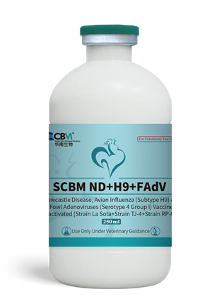 SCBM ND+H9+FAdV